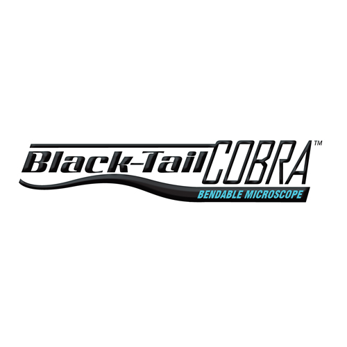 black tail cobra logo design